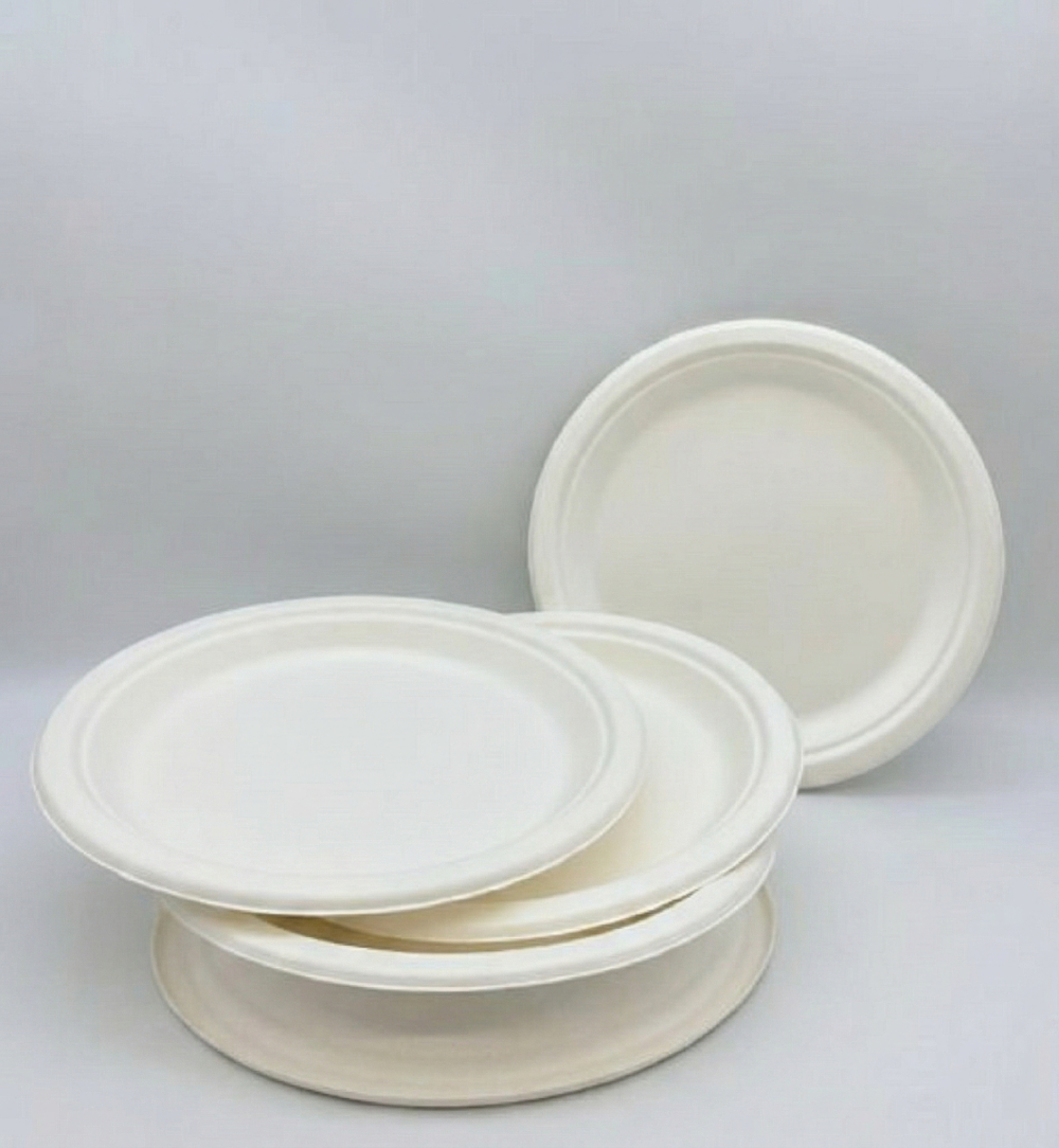 Bagasse Plates